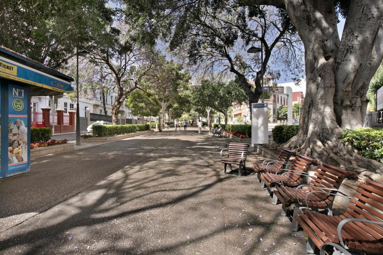 San Diego Santa Cruz de Tenerife Ngoại thất bức ảnh